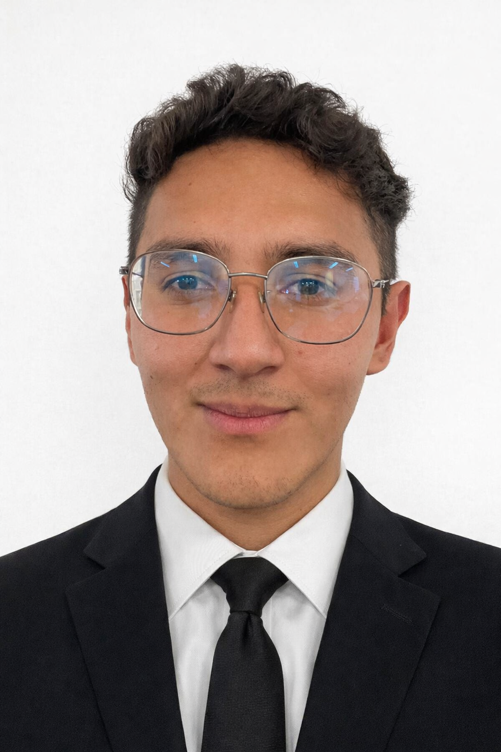 Alejandro Gabriel Meneses Vela